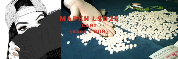 mdpv Бородино