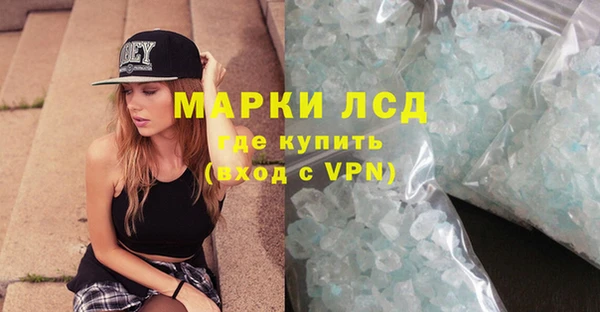mdpv Бородино
