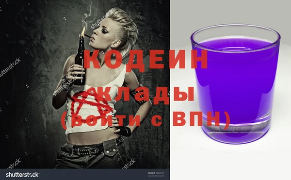 индика Жердевка